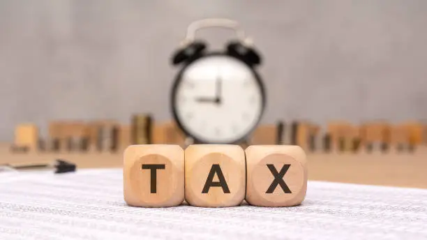 Tax Professional at Work